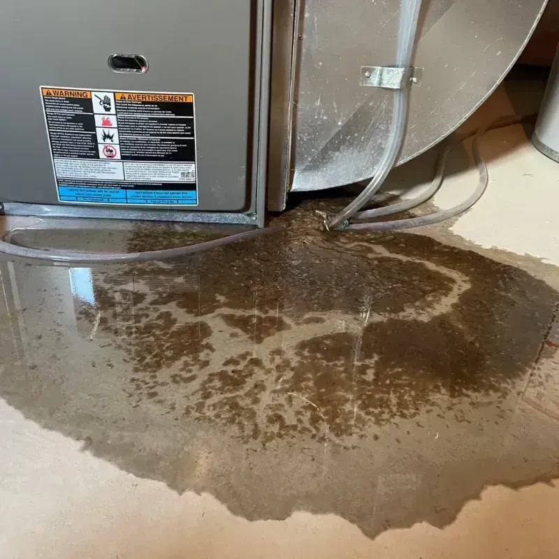 Appliance Leak Cleanup in Dare County, NC